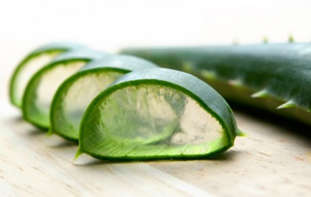 ว่านหางจระเข้