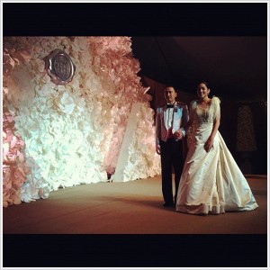 ผู้พันดอลล่าร์ และ คุณหญิงแมงมุม