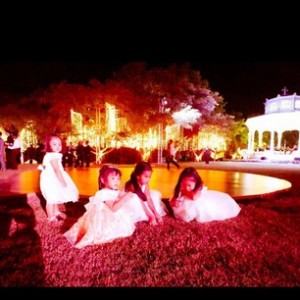 บรรยากาศงานแต่งงานหญิงแมงมุม - ผู้พัน ดอลล่าร์