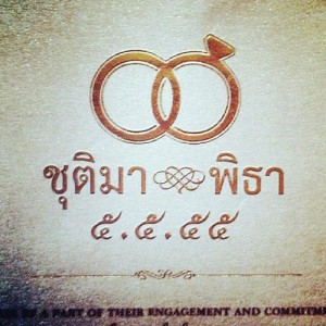 ต่าย ชุติมา - ทิม พิธา