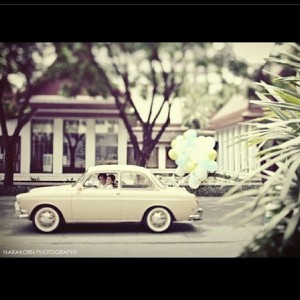 งานแต่งงาน ต่าย-ทิม