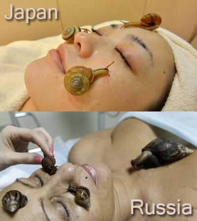 หอยทาก นวดหน้า 