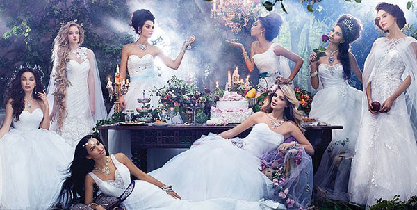 ชุดแต่งงาน เจ้าหญิงดิสนีย์