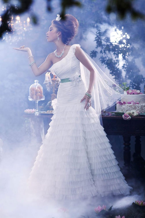 ชุดแต่งงาน เจ้าหญิงดิสนีย์ เจ้าชายกบ