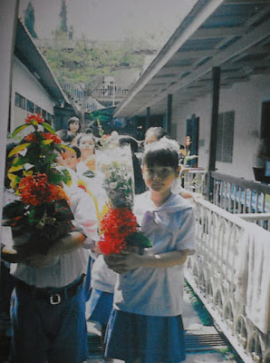 ใบเฟิร์น พิมพ์ชนก