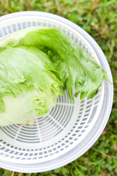 ตะกร้าล้างผัก 