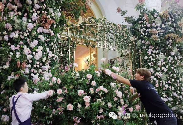 12115588_1055363107837842_1429062855815550000_n