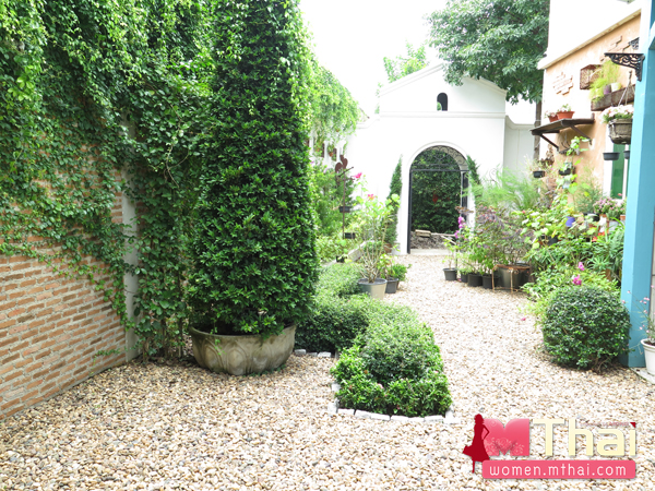 เวดดิ้งสตูดิโอ