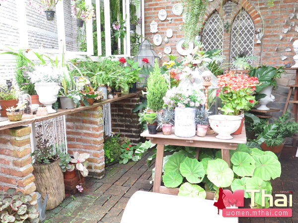 สวนในบ้านแบบ Botanical