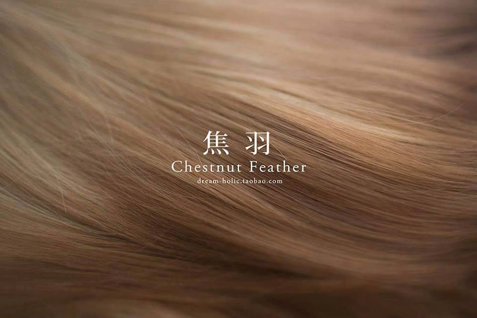 สี chestnut feature
