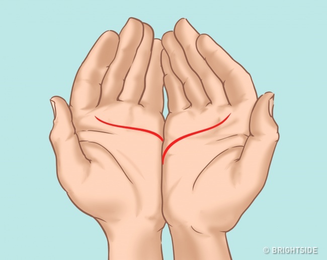 เส้นหัวใจ 