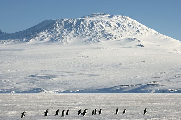 งานแต่งงาน