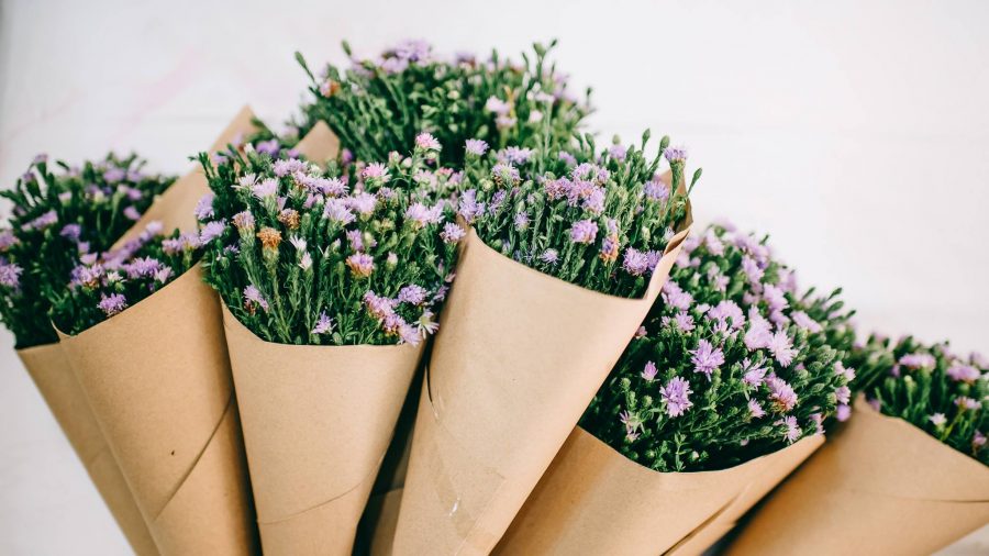 รีวิวงานแต่งแบบประหยัด ไนซ์-ต๊อบ