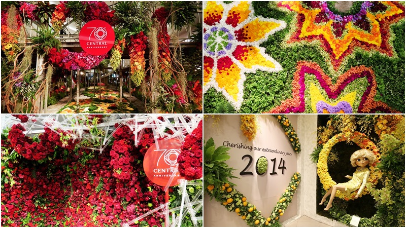 ดอกไม้ ถ่ายรูป เซลฟี่ เซ็นทรัล