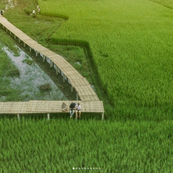 ธีมงานแต่ง เป๊ก-นิว