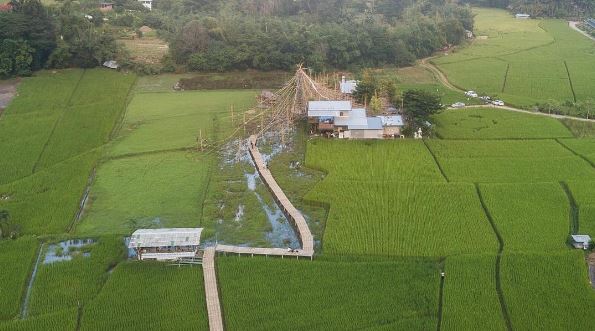 ธีมงานแต่ง เป๊ก-นิว