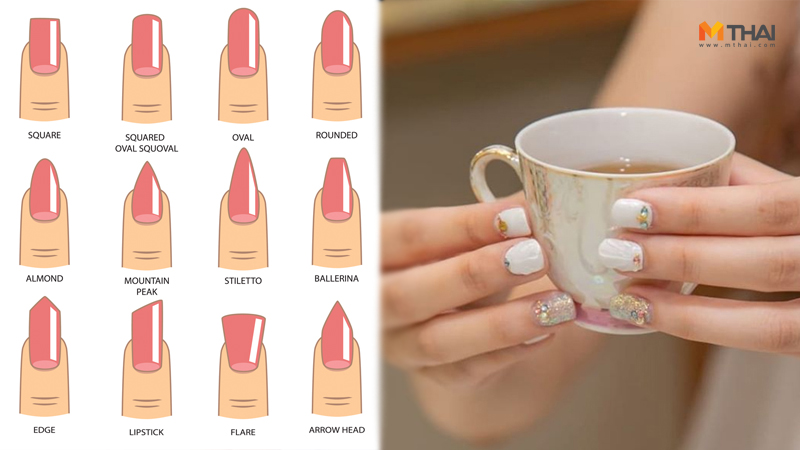 สีเล็บ โทนสุภาพ