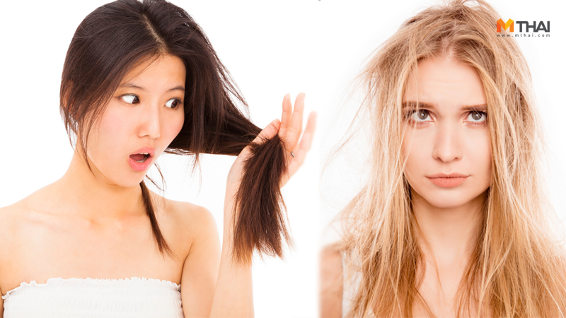 ครีมบำรุงผม ดูแลเส้นผม บอกลาผมเสีย บู๊ทส์ แชมพู