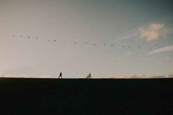 ภาพถ่ายพรีเวดดิ้ง