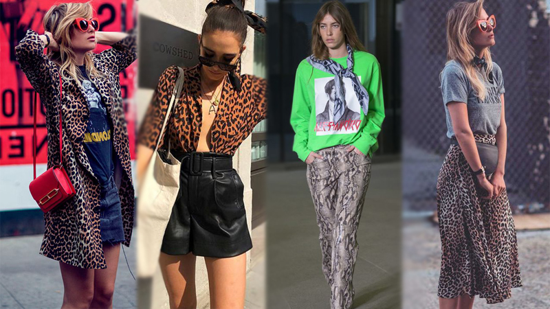 มิกซ์แอนด์แมทช์ เทรนด์ใหม่ แฟชั่น แฟชั่นลายสัตว์