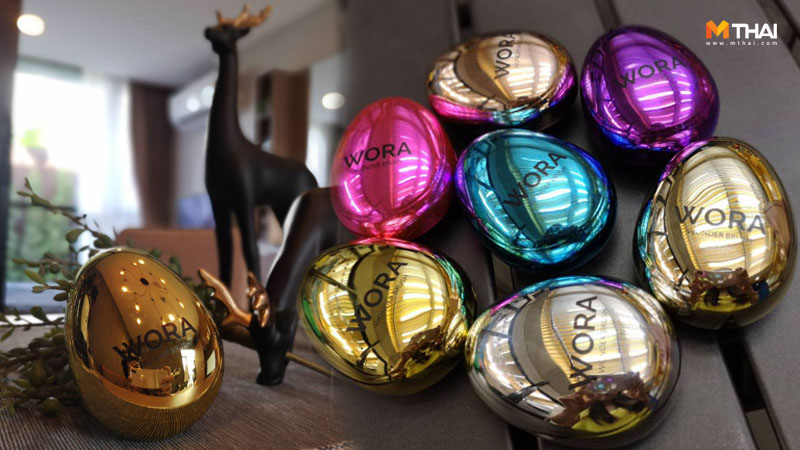 Worawonderbrush ดูแลเส้นผม อุปกรณ์ทำผม แปรงหวีผม