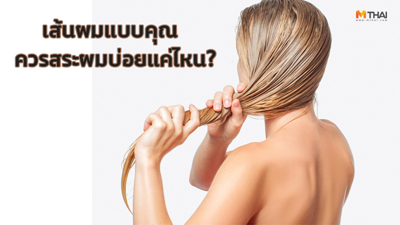 ควรสระผมบ่อยแค่ไหน ดูแลเส้นผม บำรุงผม ผมสุขภาพดี ผมแห้งเสีย วิธีแก้ผมแห้งเสีย