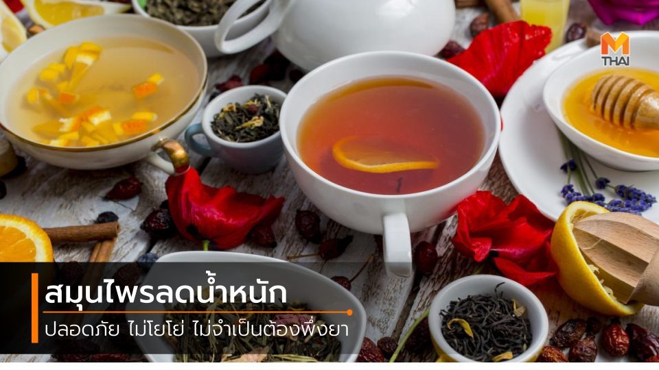 ถั่วขาว พริก มะนาว ลดความอ้วน ลดน้ำหนัก สมุนไพร ส้มแขก เม็ดแมงลัก