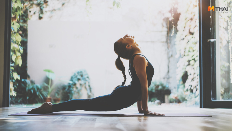 ท่าโยคะ ออกกำลังกาย เล่นโยคะ โยคะ โยคะลดหน้าท้อง โยคะเพื่อสุขภาพ โยคะแก้ปวดหลัง โยคะแก้ออฟฟิศซินโดรม