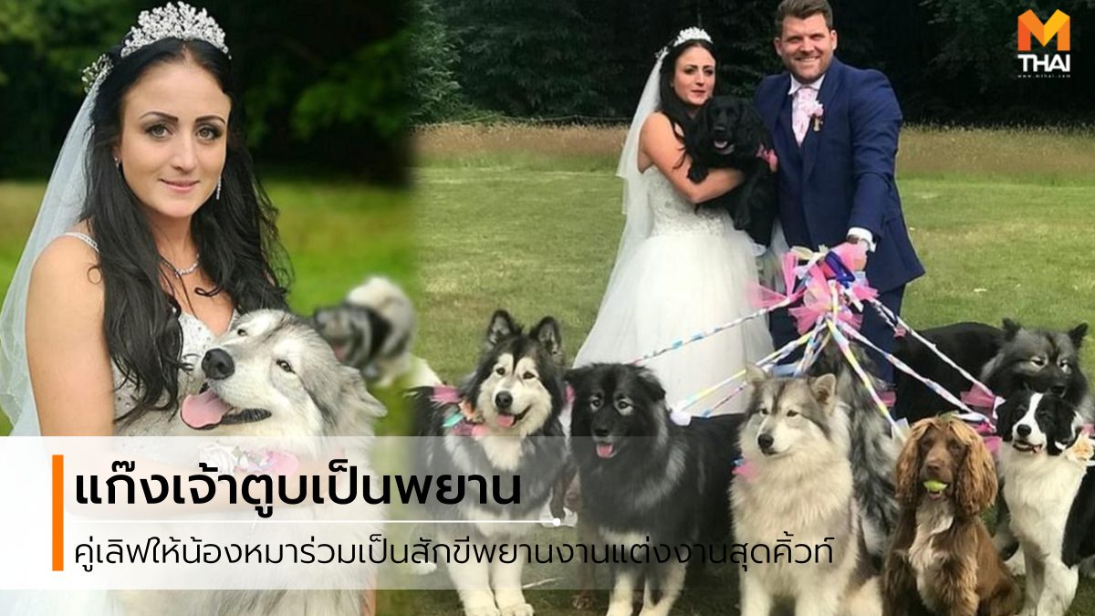 คนรักสุนัข คนรักหมา จัดงานแต่งงาน วันแต่งงาน สุนัขเพื่อนเจ้าบ่าว