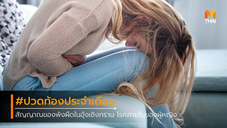ตรวจภายใน ปวดท้องประจำเดือน ปวดท้องเมนส์ พังผืดมดลูก ภายในผู้หญิง มะเร็งปากมดลูก เยื่อบุมดลูกเจริญผิดที่