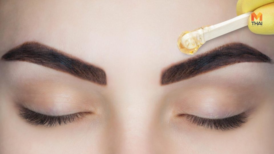 ข้อดีของการแว็กซ์คิ้ว คิ้ว จัดแต่งทรงคิ้ว ทรงคิ้ว แว็กซ์คิ้ว