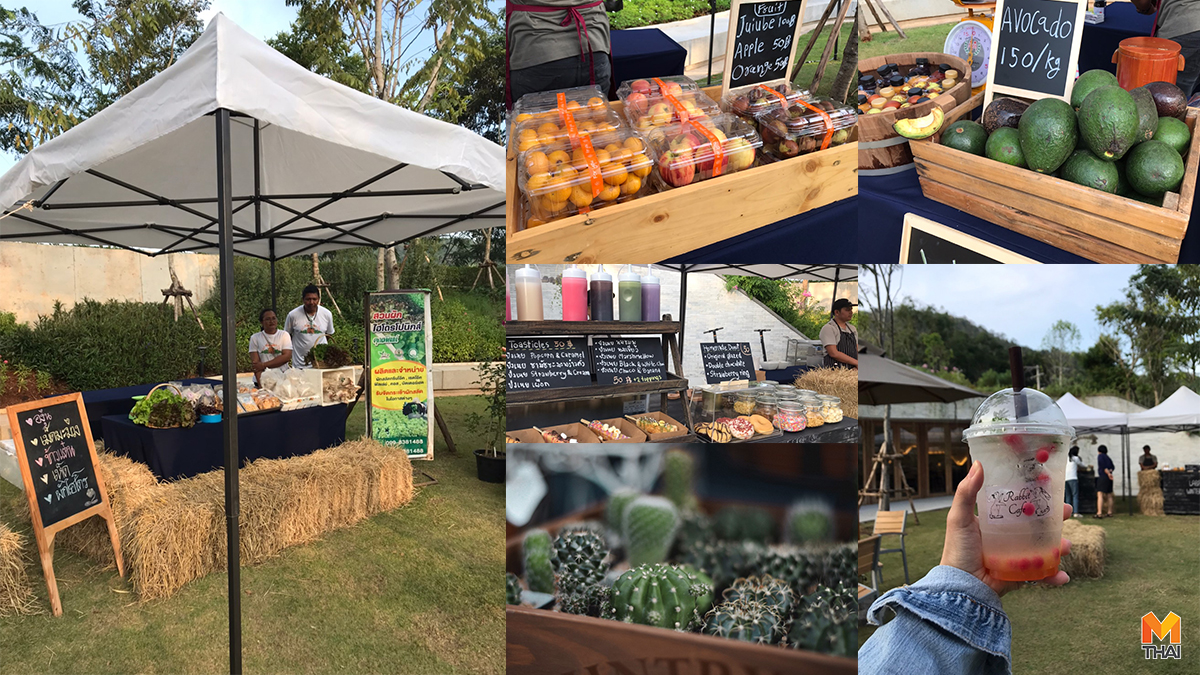 ลาบาริส ลาบาริส เขาใหญ่